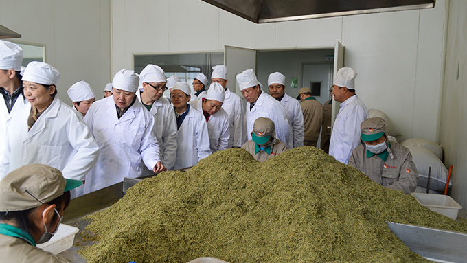 盛世龍教您如何確保中藥飲片的保質期