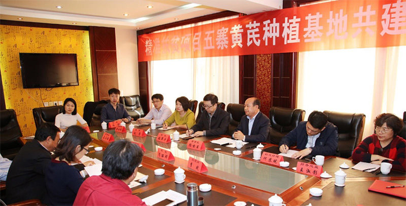 北京盛世龍精準(zhǔn)扶貧，共建黃芪種植基地