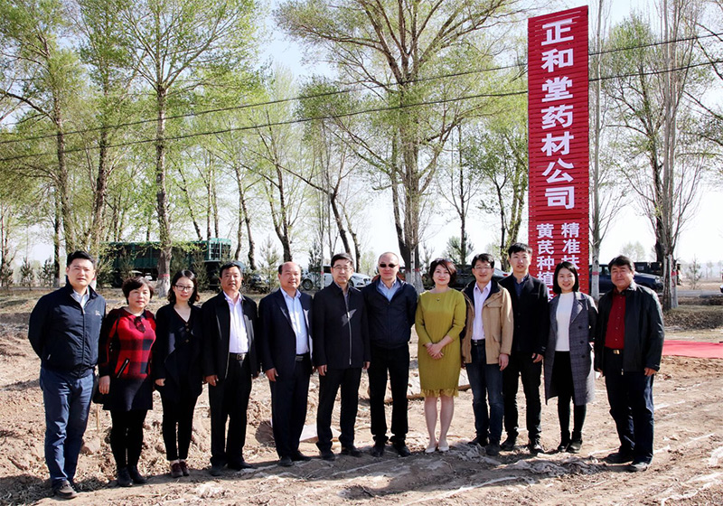 北京盛世龍精準(zhǔn)扶貧，共建黃芪種植基地